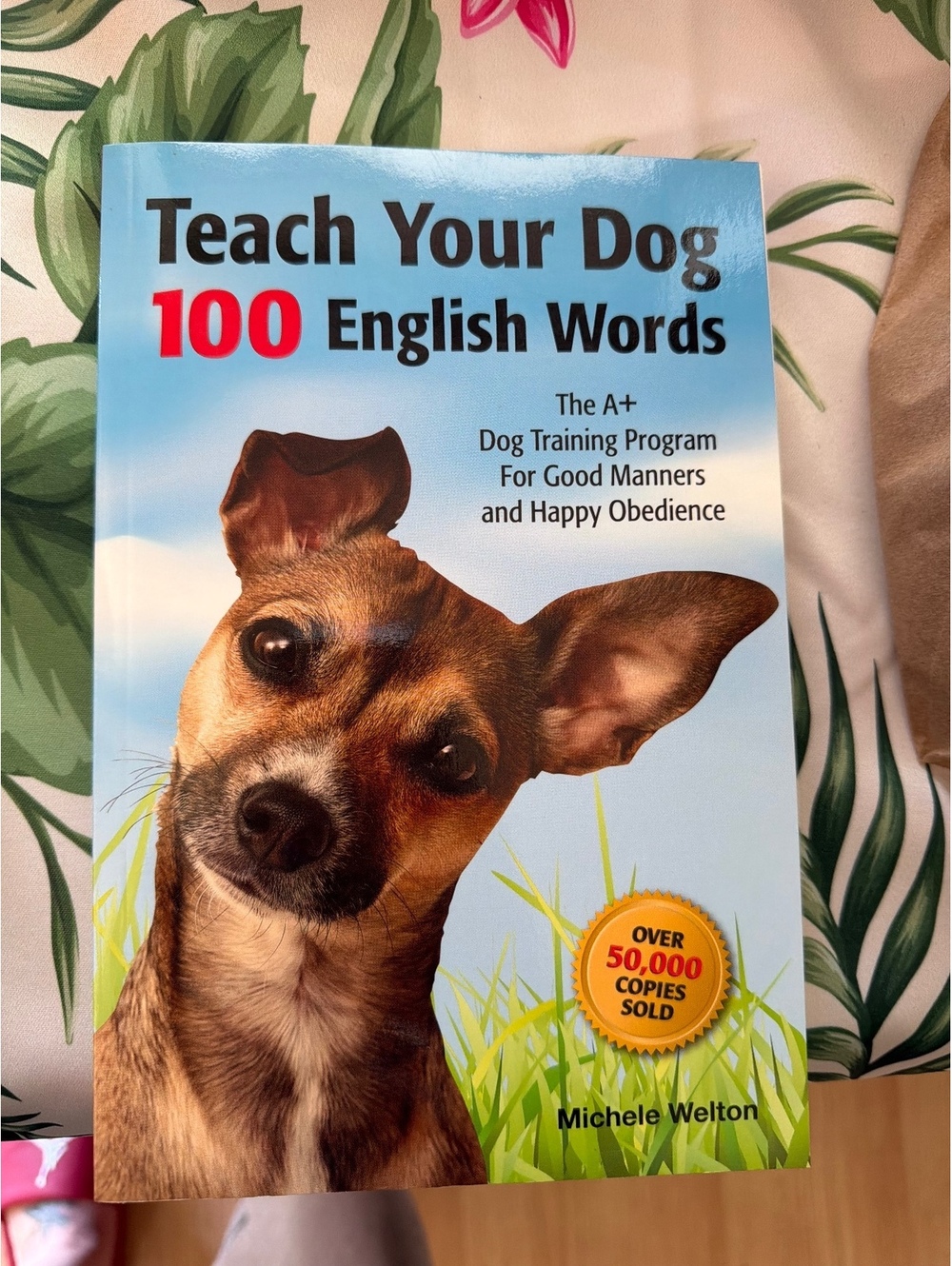 Teach Your Dog 100 English Words book